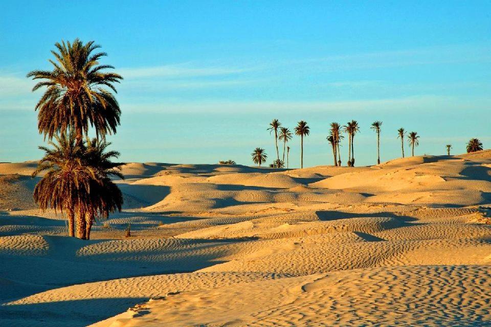Camp Sahara Holidays M'Hamid Esterno foto