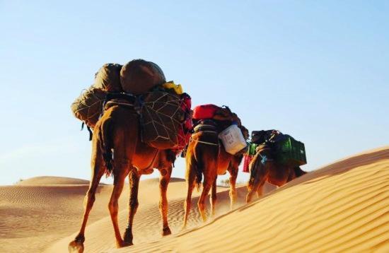 Camp Sahara Holidays M'Hamid Esterno foto