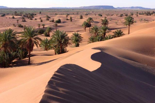Camp Sahara Holidays M'Hamid Esterno foto