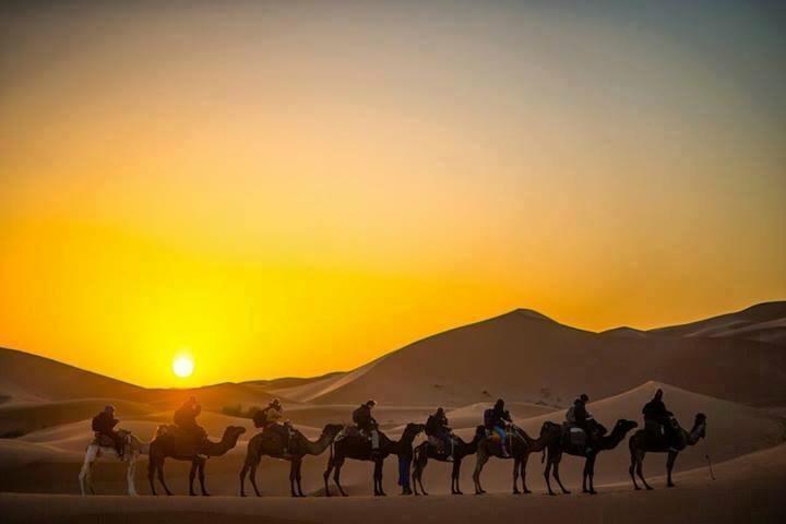 Camp Sahara Holidays M'Hamid Esterno foto