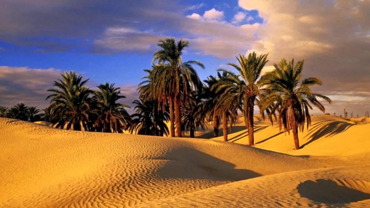 Camp Sahara Holidays M'Hamid Esterno foto