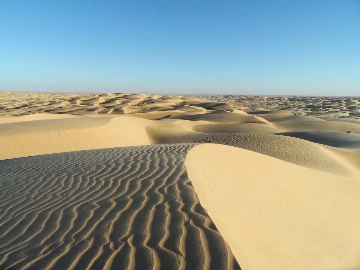 Camp Sahara Holidays M'Hamid Esterno foto
