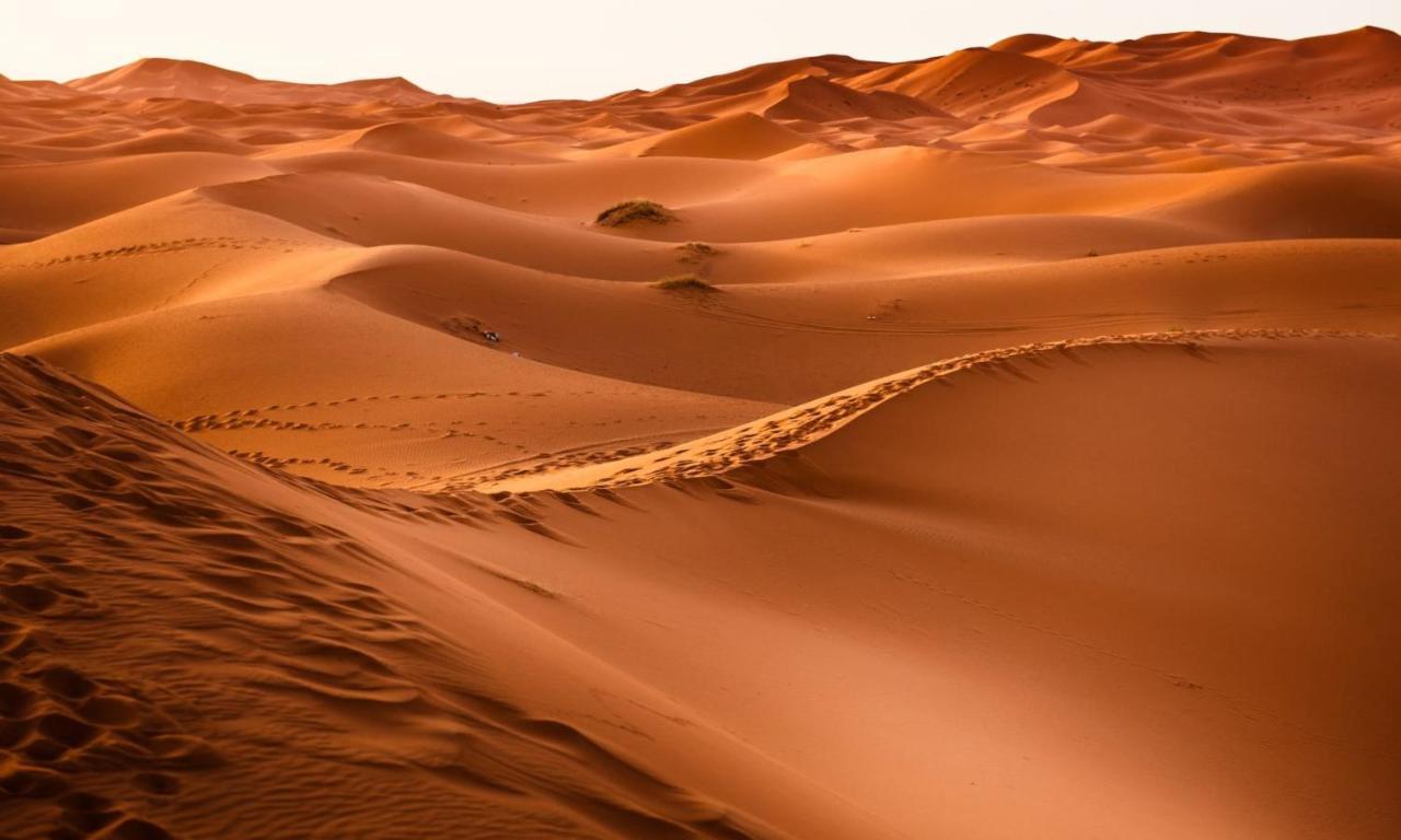 Camp Sahara Holidays M'Hamid Esterno foto