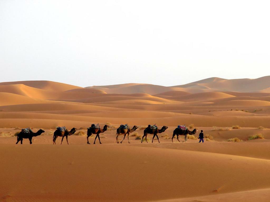 Camp Sahara Holidays M'Hamid Esterno foto