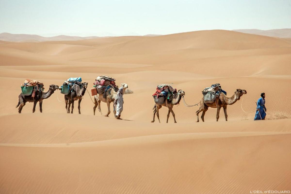 Camp Sahara Holidays M'Hamid Esterno foto